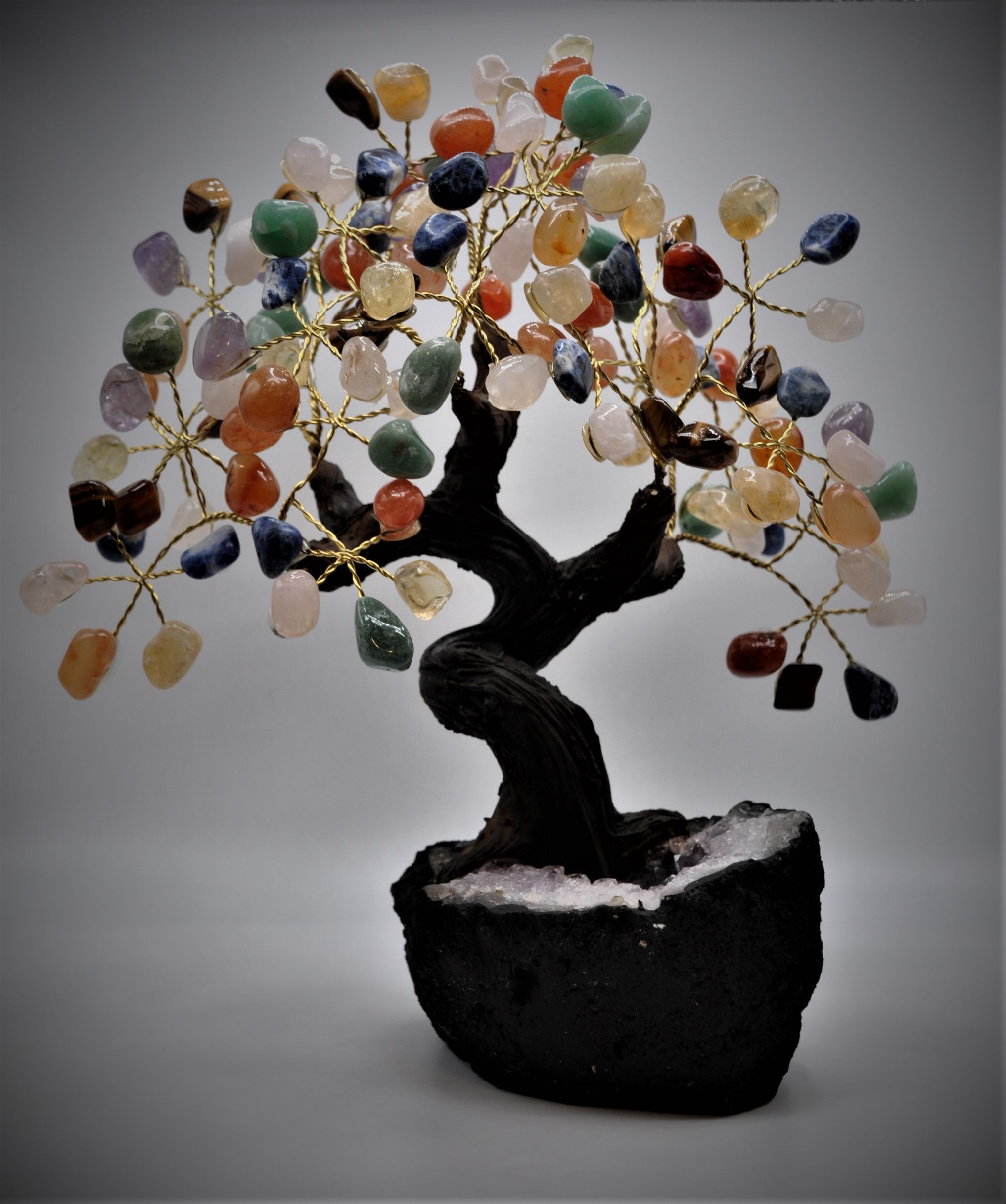 tree of life bonsai Mix Bonsai Tree 9" – Holistic World