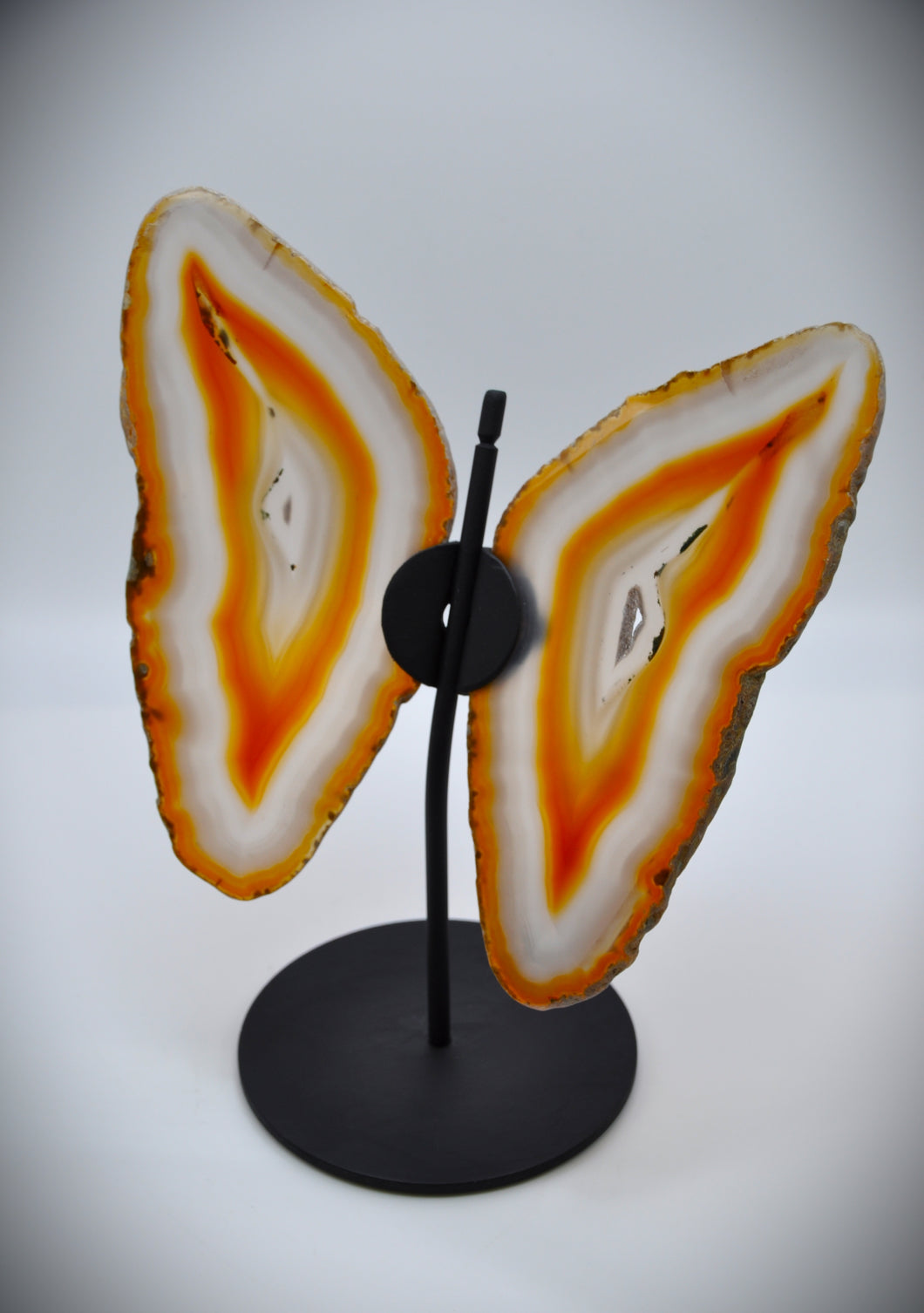 Agate with black base Butterfly