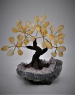 Citrine Bonsai Tree 5