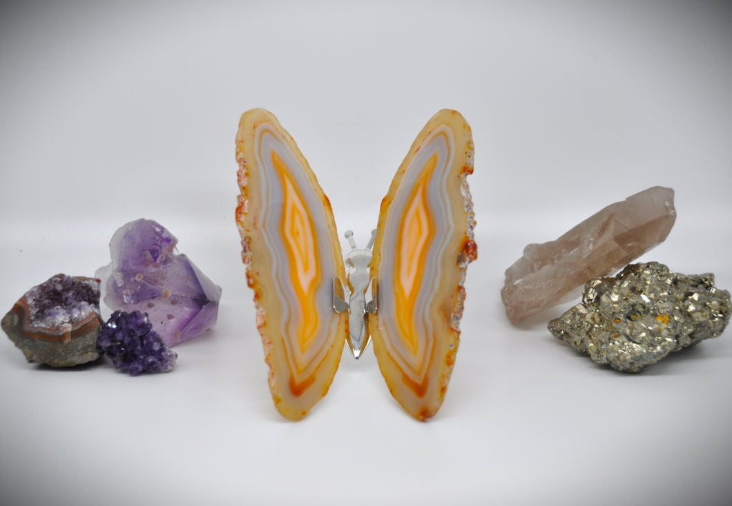 Yellow Agate Slice Butterfly