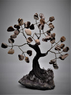 Zebra Jasper Australian Bonsai Tree 5