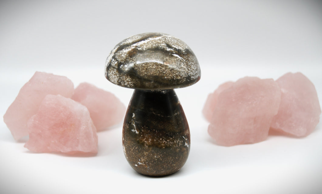 Mushroom Agate Stone Crystal