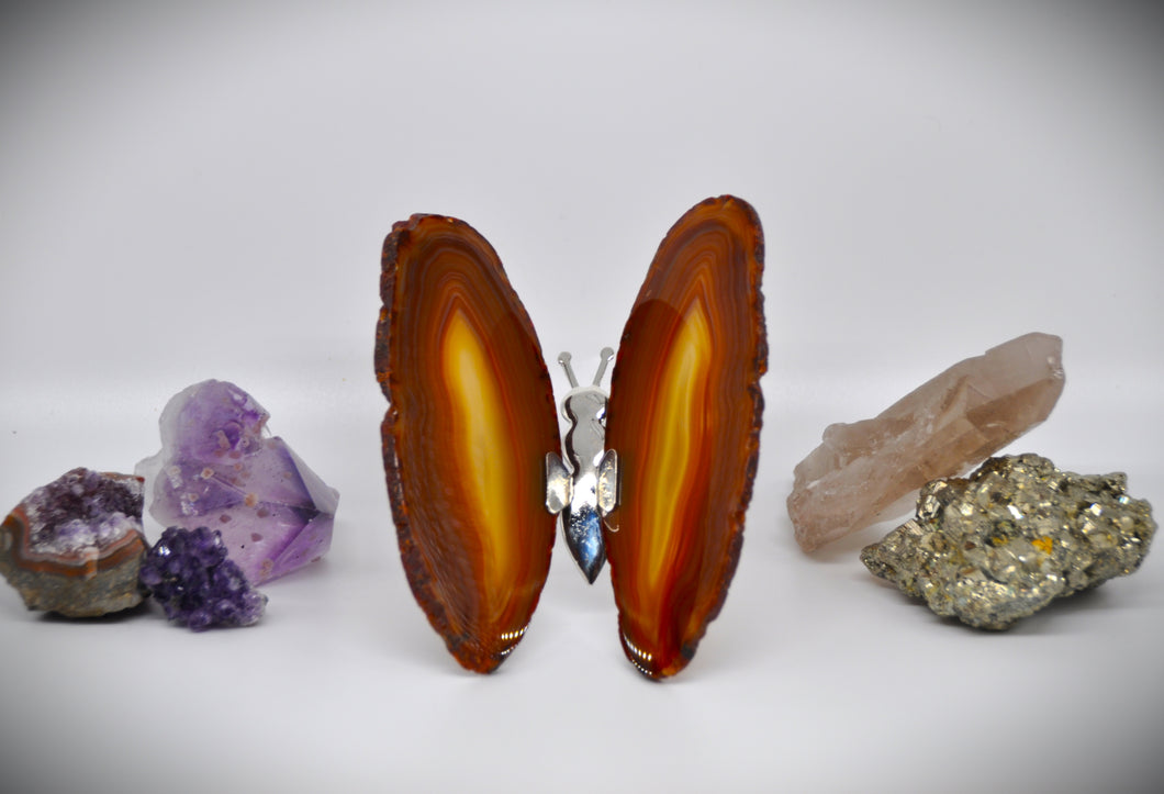 Red Agate Butterfly
