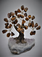 Tiger's Eye Bonsai Tree 5