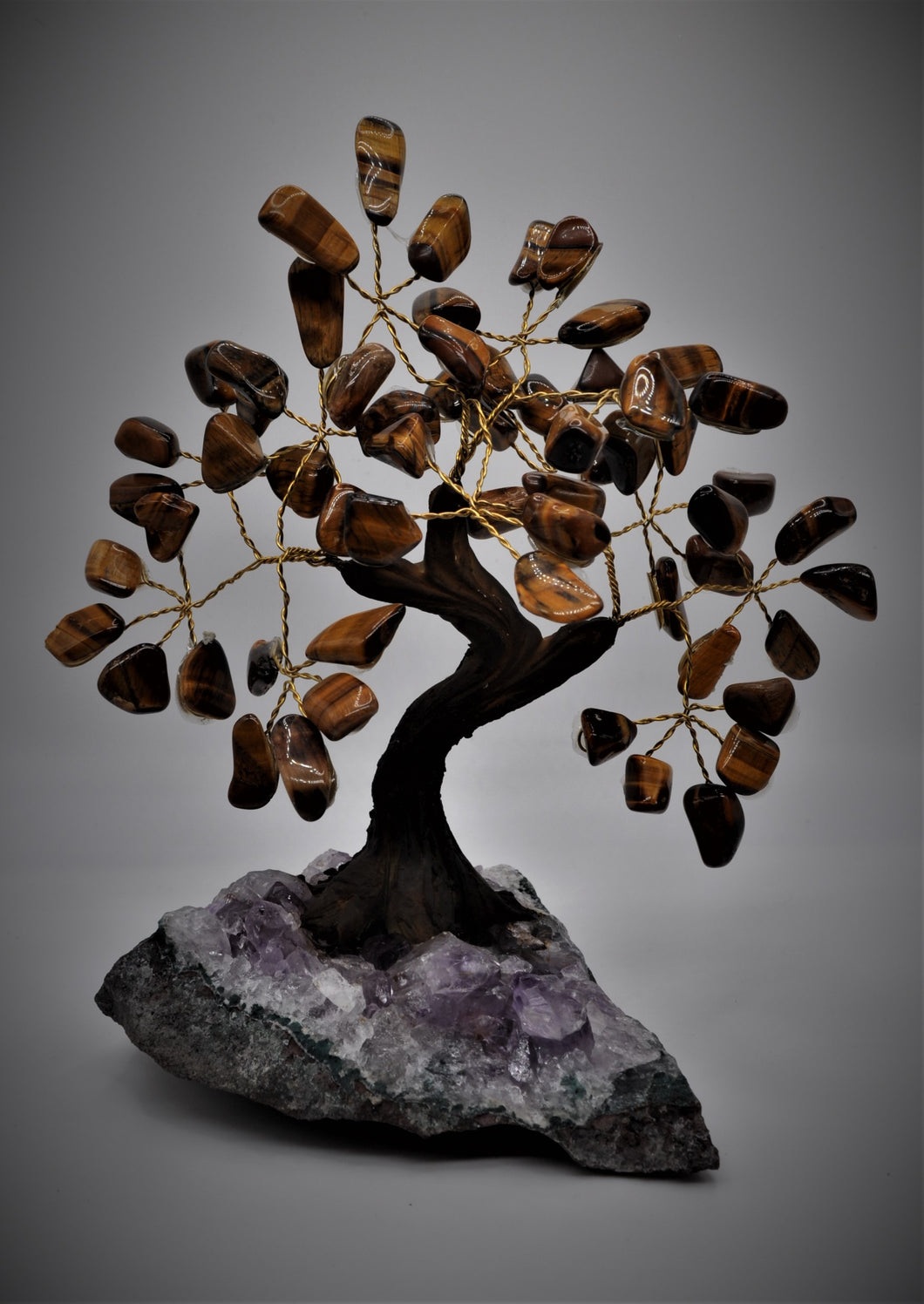bonsai eye tree Tiger's Eye Bonsai Tree 7" – Holistic World