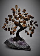 Tiger's Eye Bonsai Tree 7